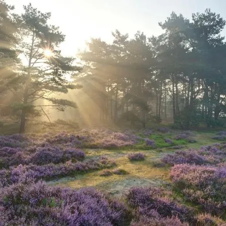 Сasa de vacaciones Luxe En Comfort Aan Bos - Geniet Rust & *