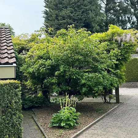 Luxe En Comfort Aan Bos - Geniet Rust & بيت للعطل *