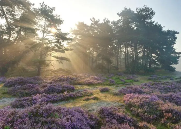Vakantiehuis Luxe En Comfort Aan Bos - Geniet Rust&natuur *