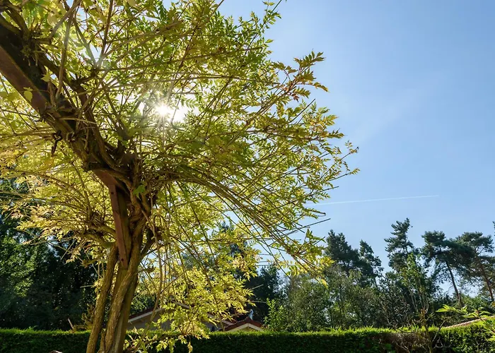 Luxe En Comfort Aan Bos - Geniet Rust&natuur Vakantiehuis