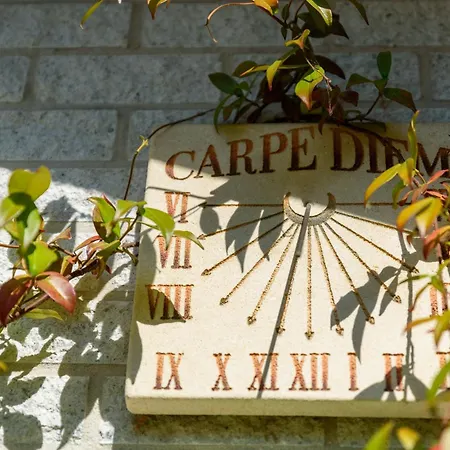 Luxe En Comfort Aan Bos - Geniet Rust & Nyaraló *