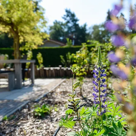 Luxe En Comfort Aan Bos - Geniet Rust & *