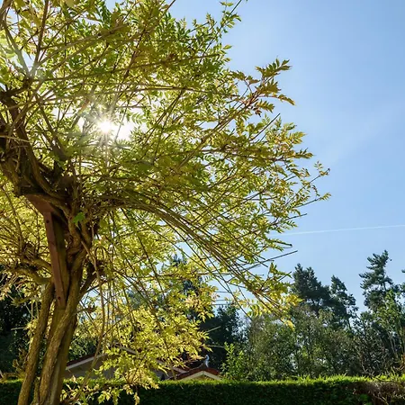 Luxe En Comfort Aan Bos - Geniet Rust & Nyaraló