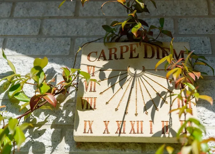 Luxe En Comfort Aan Bos - Geniet Rust & Nyaraló *