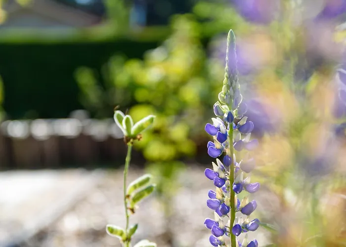 Luxe En Comfort Aan Bos - Geniet Rust & Putten