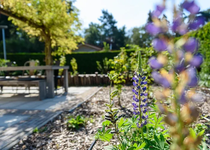 Luxe En Comfort Aan Bos - Geniet Rust & *