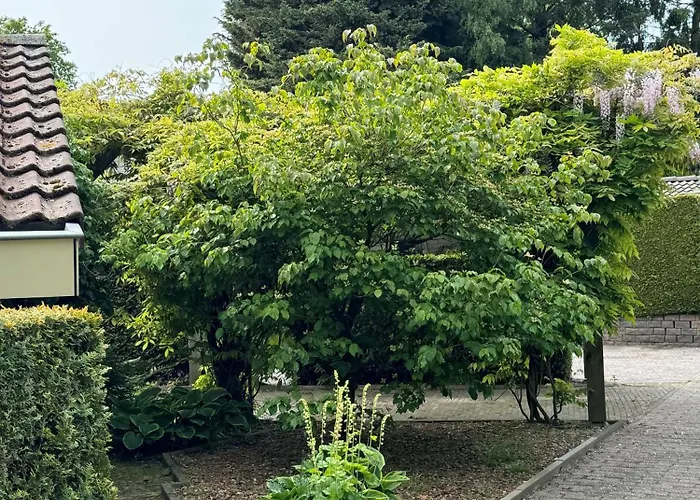 Luxe En Comfort Aan Bos - Geniet Rust & Nyaraló *